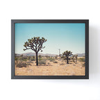 Joshua Tree Desert Landscape Film Photography Mini Art Print Gallery Image 1