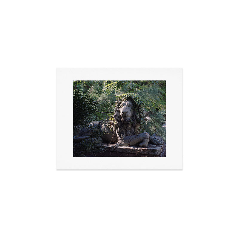 Lion in the Garden | 35mm Film Photography Art Print Gallery Image 1