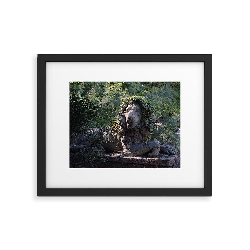 Lion in the Garden | 35mm Film Photography Framed Art Print Gallery Image 5