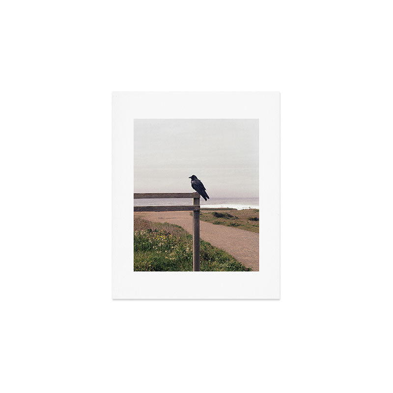 Lone Raven, California | 35mm Film Photography Art Print Gallery Image 1