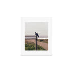 Lone Raven, California | 35mm Film Photography Art Print Gallery Image 1