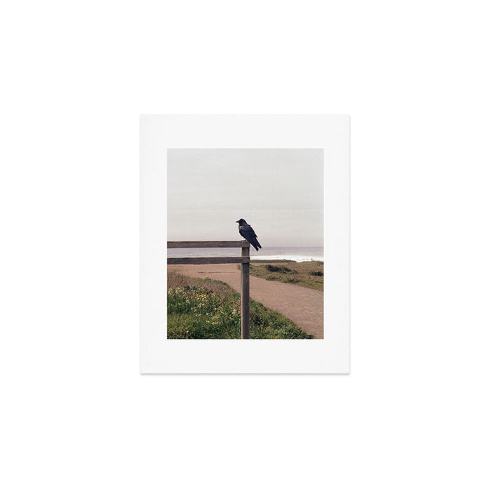 Lone Raven, California | 35mm Film Photography Art Print Gallery Image 1