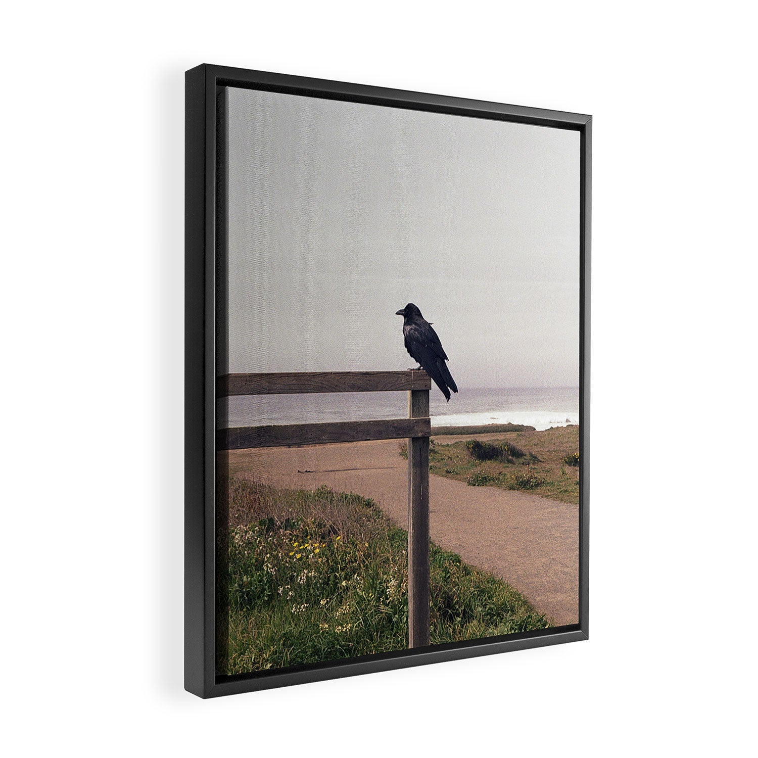Lone Raven, California | 35mm Film Photography Framed Canvas Print Gallery Image 2