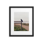 Lone Raven, California | 35mm Film Photography Framed Art Print Gallery Image 5