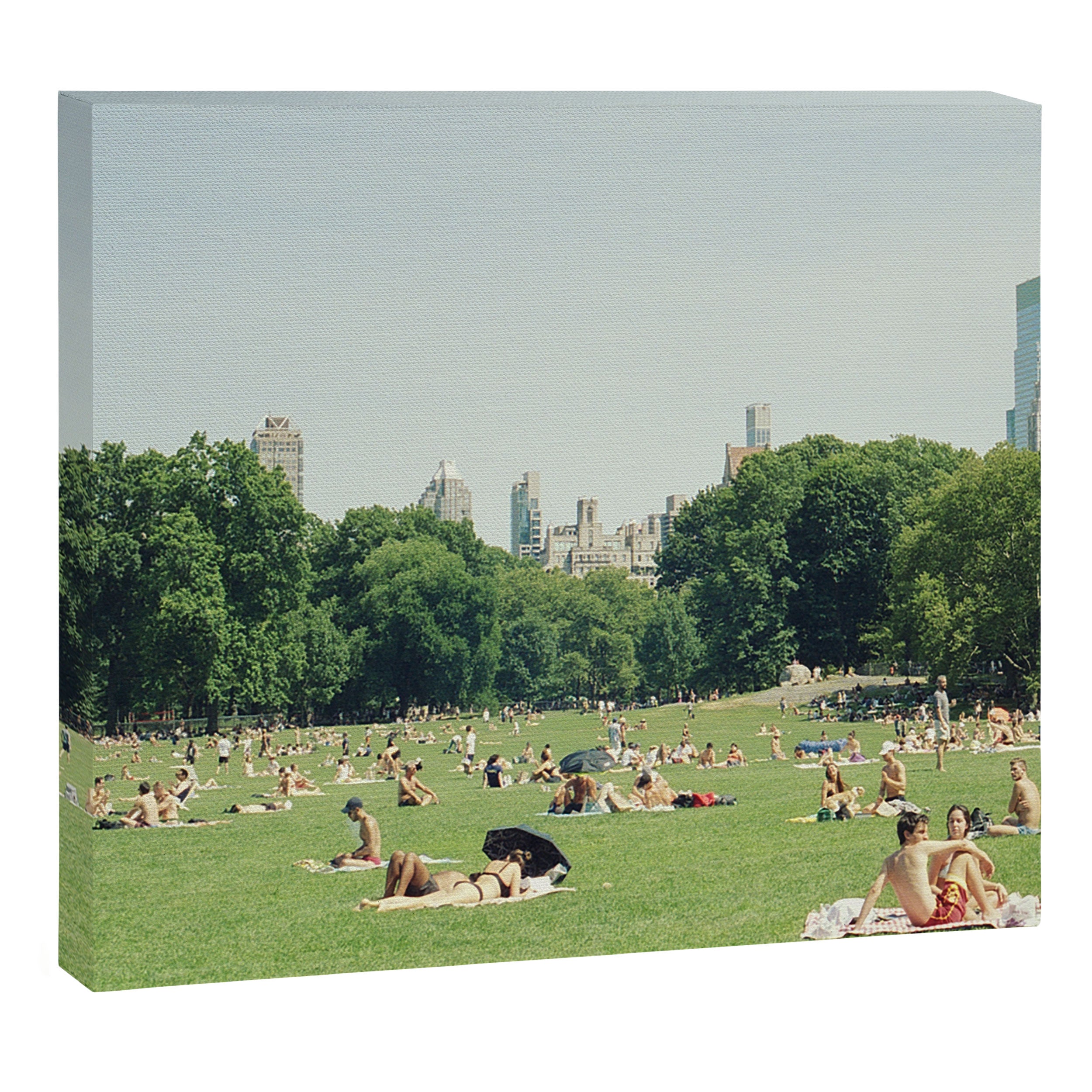 Summer in Central Park New York City | 35mm Film Photography Canvas Print Gallery Image 3