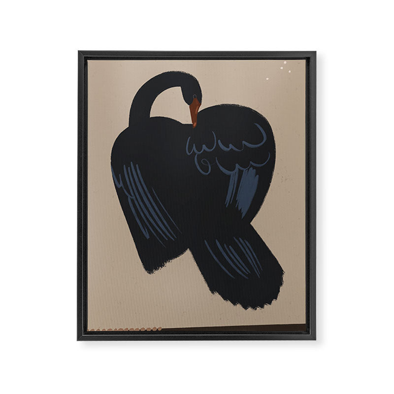  black swan Framed Canvas Print Gallery Image 6