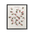 delicate strawberries Framed Canvas Print Gallery Image 6