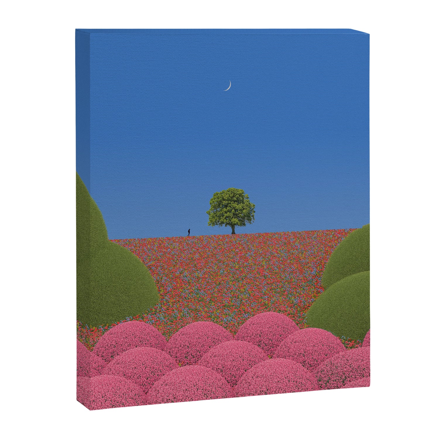 Flower Power Canvas Print Gallery Image 3