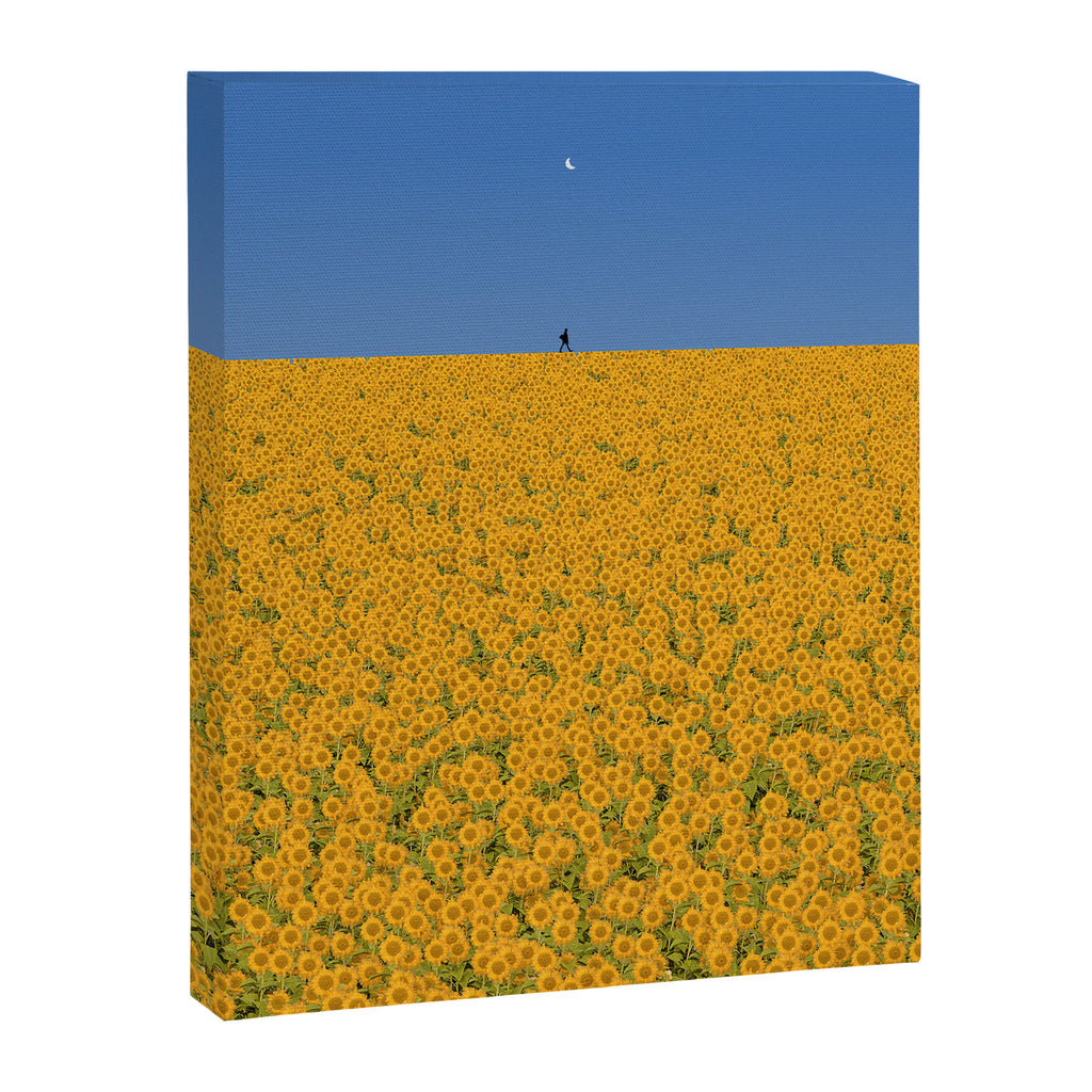 Sunshine Canvas Print Gallery Image 6