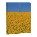 Sunshine Canvas Print Gallery Image 6