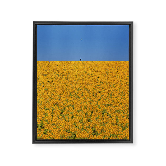 Sunshine Framed Canvas Print Gallery Image 1