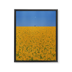Sunshine Framed Canvas Print Gallery Image 6