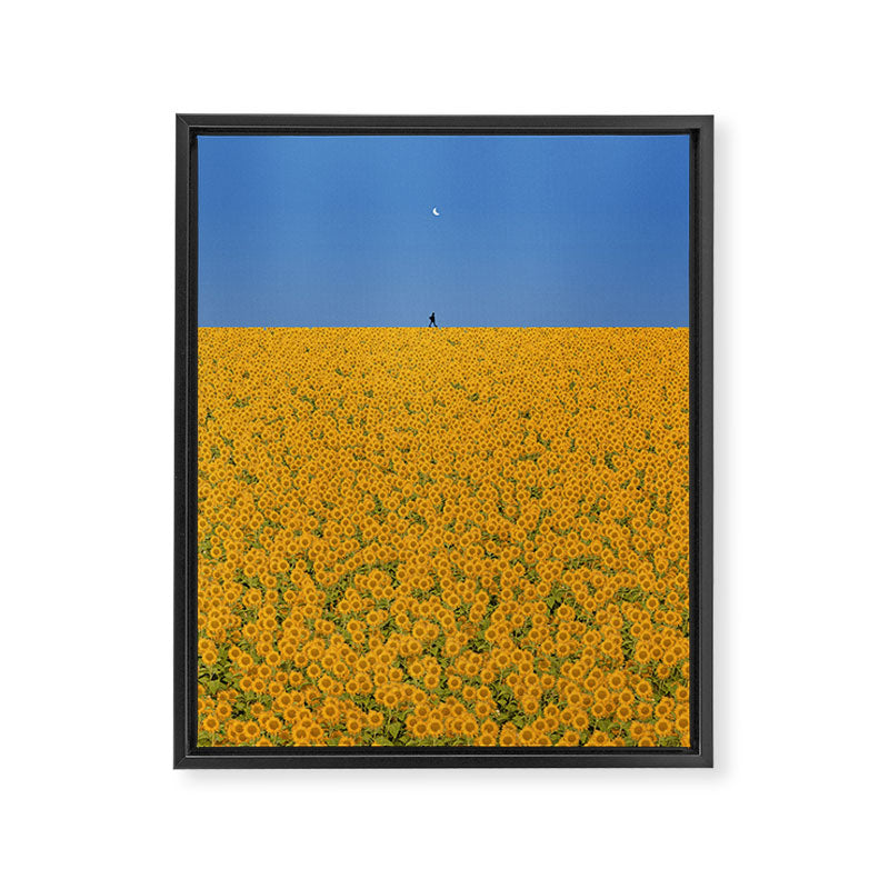 Sunshine Framed Canvas Print Gallery Image 6