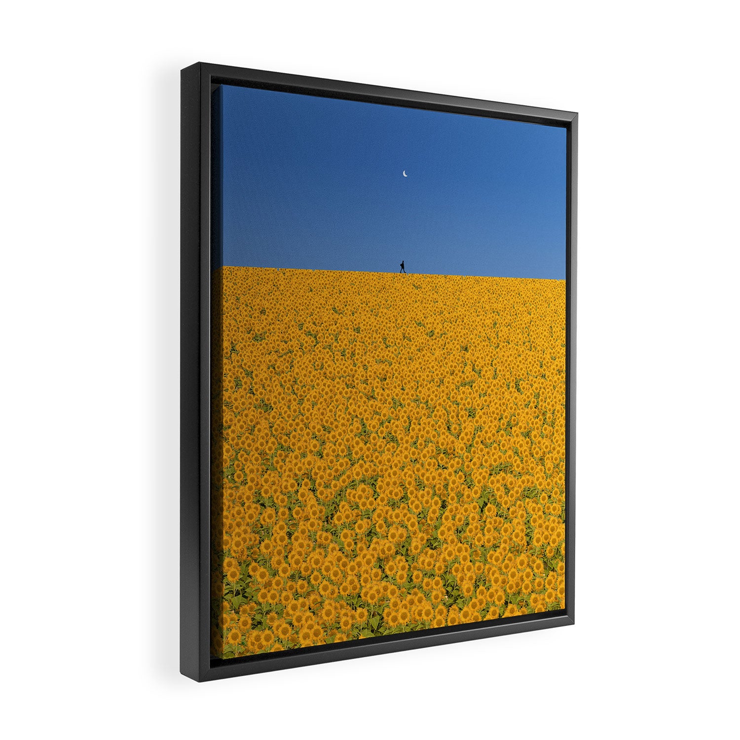 Sunshine Framed Canvas Print Gallery Image 2