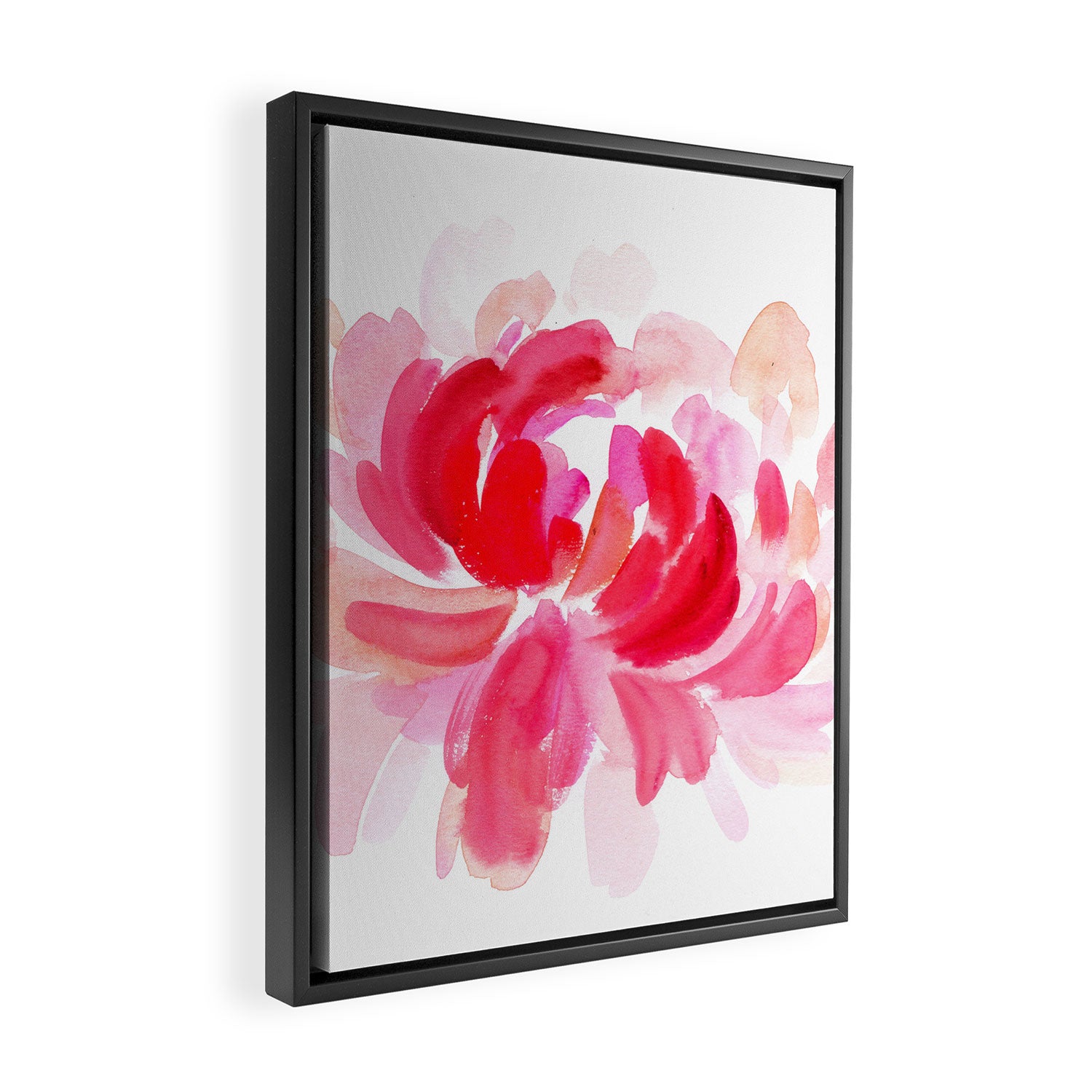 huge peony N.o 2 Framed Canvas Print Gallery Image 2
