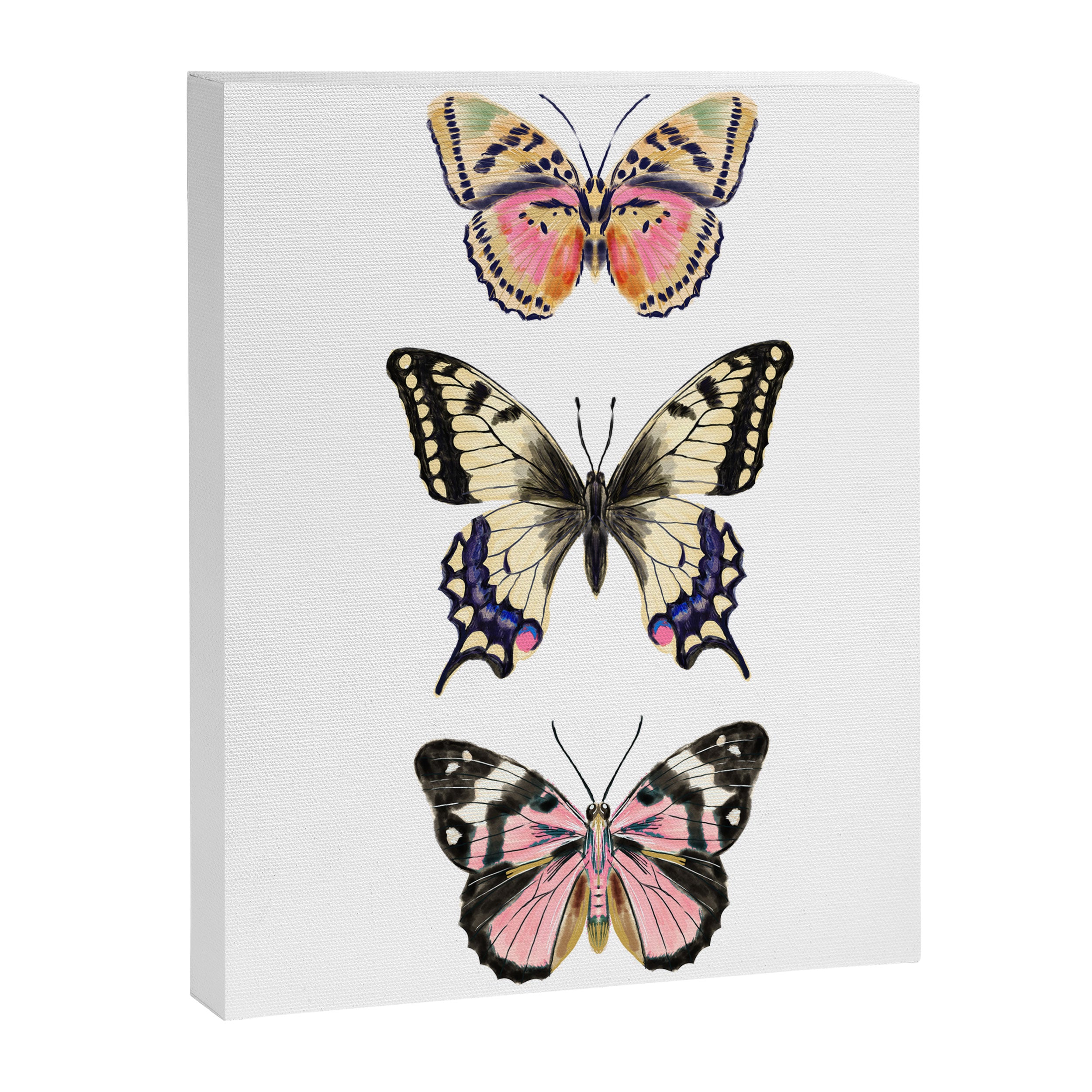 Butterfly Study no. 11 - butterfly art, butterfly sticker, swallowtail butterfly Canvas Print Gallery Image 6