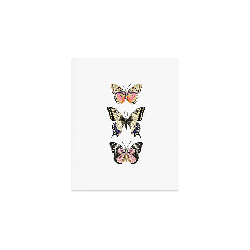 Butterfly Study no. 11 - butterfly art, butterfly sticker, swallowtail butterfly Art Print Gallery Image 1