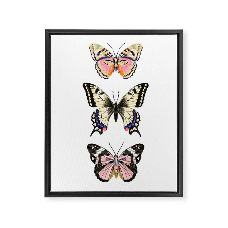 Butterfly Study no. 11 - butterfly art, butterfly sticker, swallowtail butterfly Framed Canvas Print Gallery Image 6