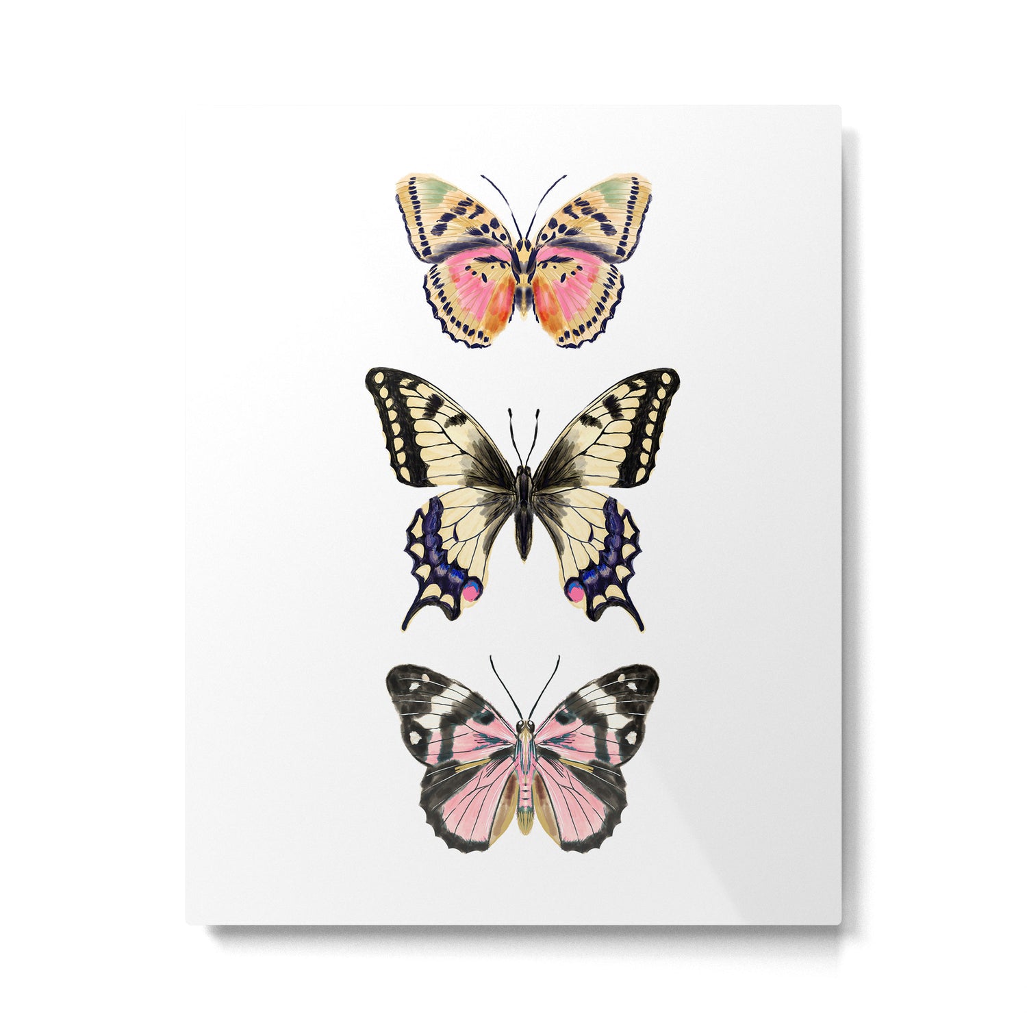 Butterfly Study no. 11 - butterfly art, butterfly sticker, swallowtail butterfly Metal Print Gallery Image 4