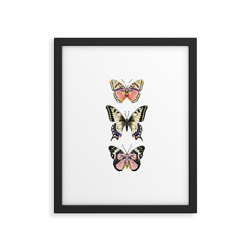 Butterfly Study no. 11 - butterfly art, butterfly sticker, swallowtail butterfly Framed Art Print Gallery Image 5