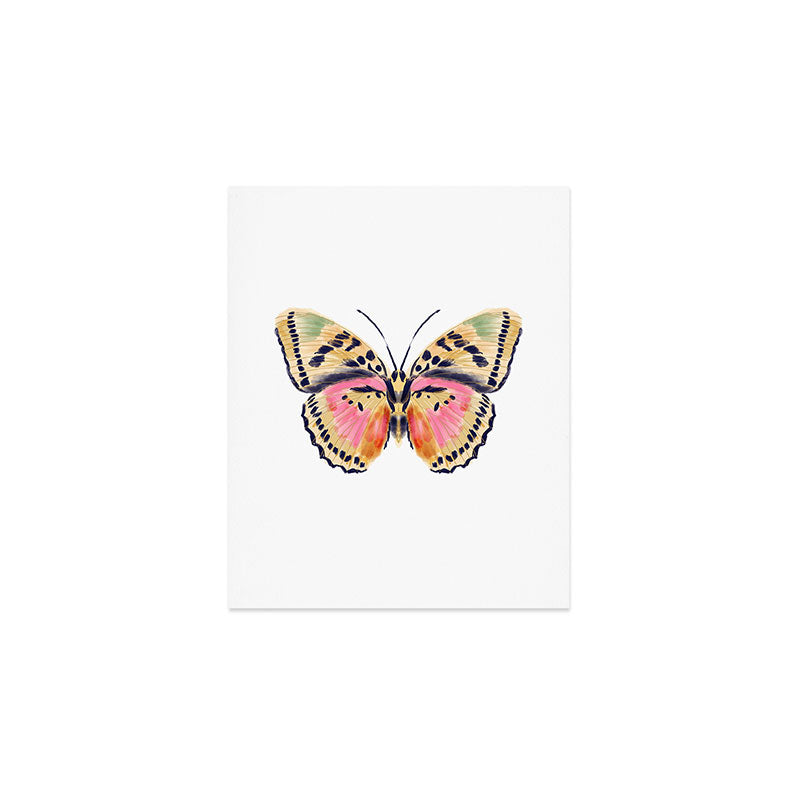 Butterfly Study no. 14 - butterfly art, watercolor butterfly, watercolor butterflies, painted butterfly, butterfly art, pink and yellow butterfly Art Print Gallery Image 1