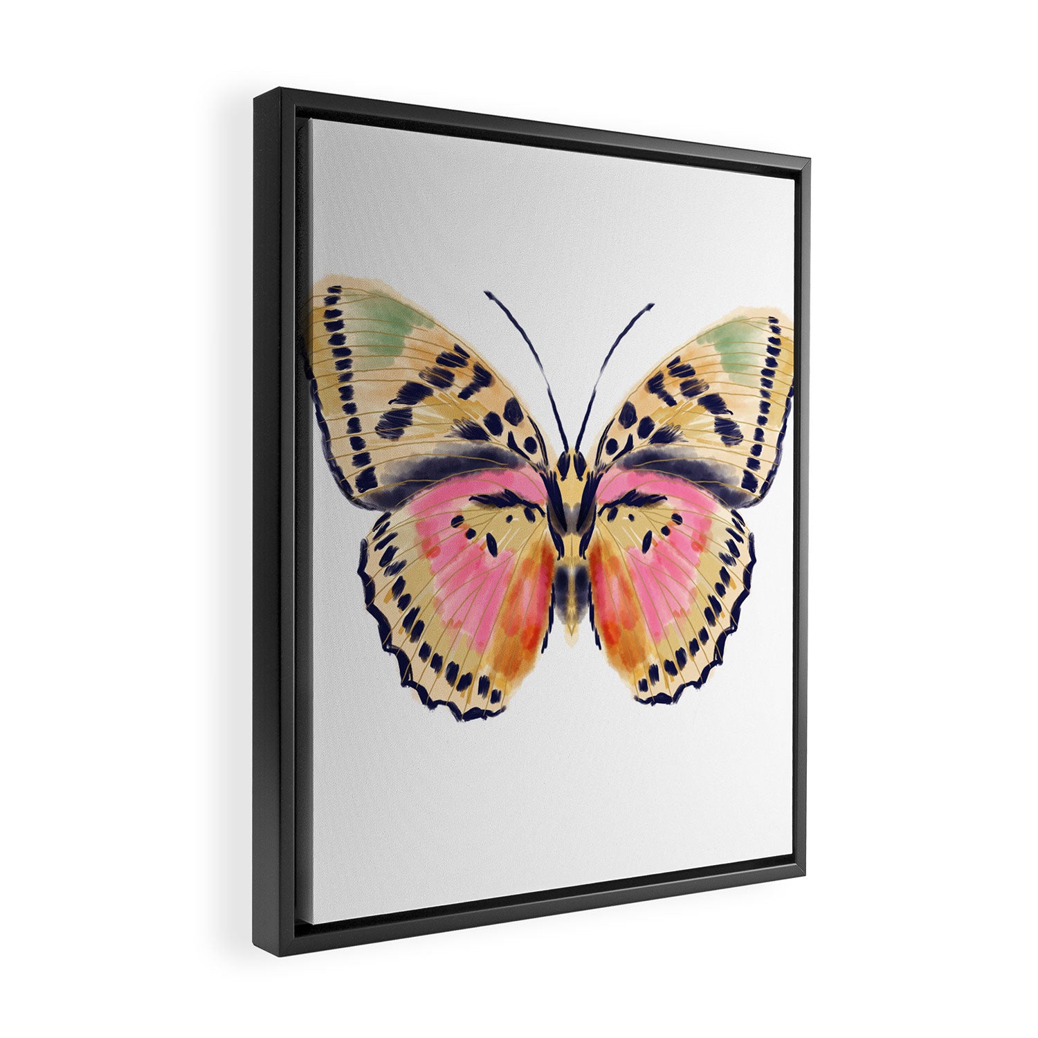 Butterfly Study no. 14 - butterfly art, watercolor butterfly, watercolor butterflies, painted butterfly, butterfly art, pink and yellow butterfly Framed Canvas Print Gallery Image 2