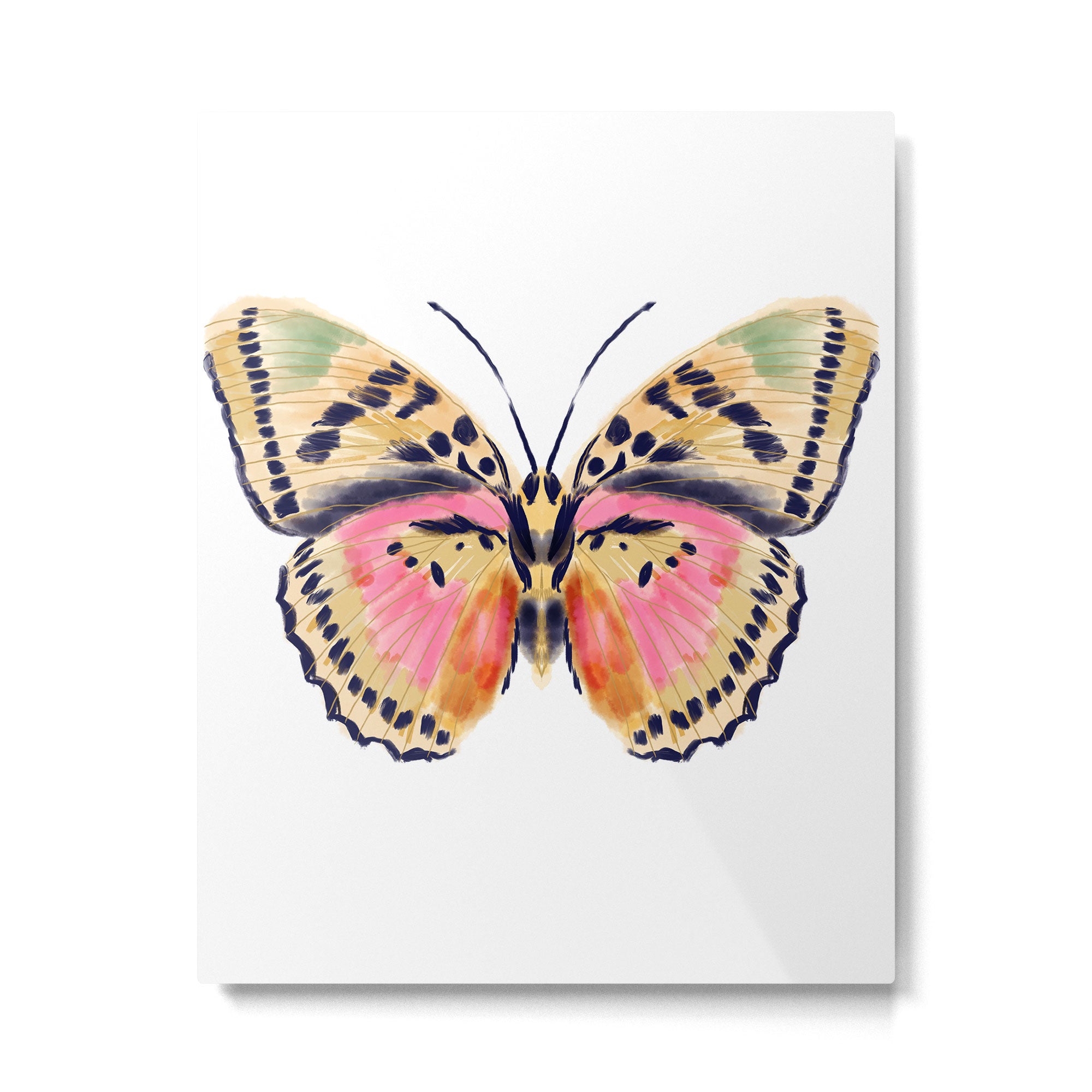 Butterfly Study no. 14 - butterfly art, watercolor butterfly, watercolor butterflies, painted butterfly, butterfly art, pink and yellow butterfly Metal Print Gallery Image 6