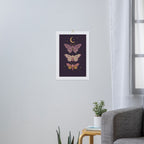 Celestial Moths -  Plum and Gold Night Insect Illustration with Moon and Stars Art Print Gallery Image 3