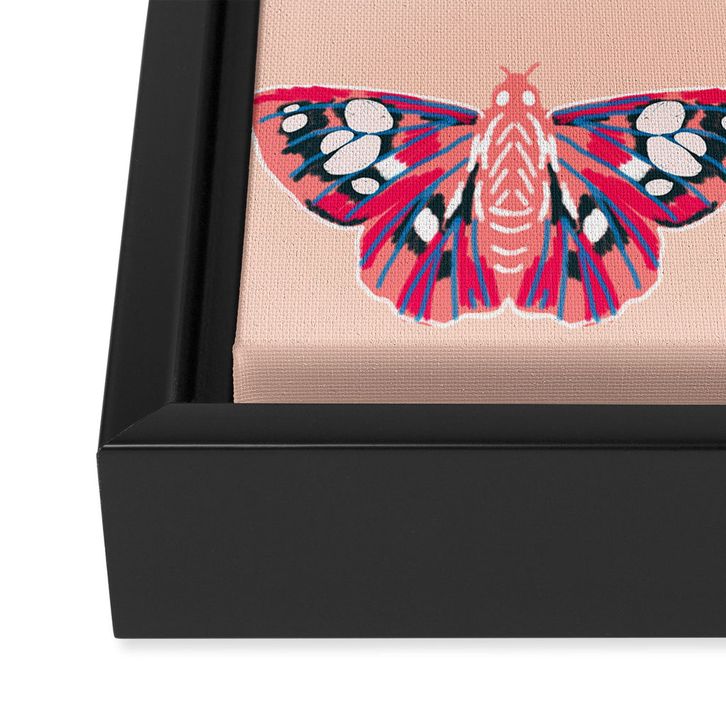 Lepidoptery No. 1 by Andrea Lauren  Framed Canvas Print Gallery Image 3