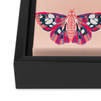 Lepidoptery No. 1 by Andrea Lauren  Framed Canvas Print Gallery Image 3