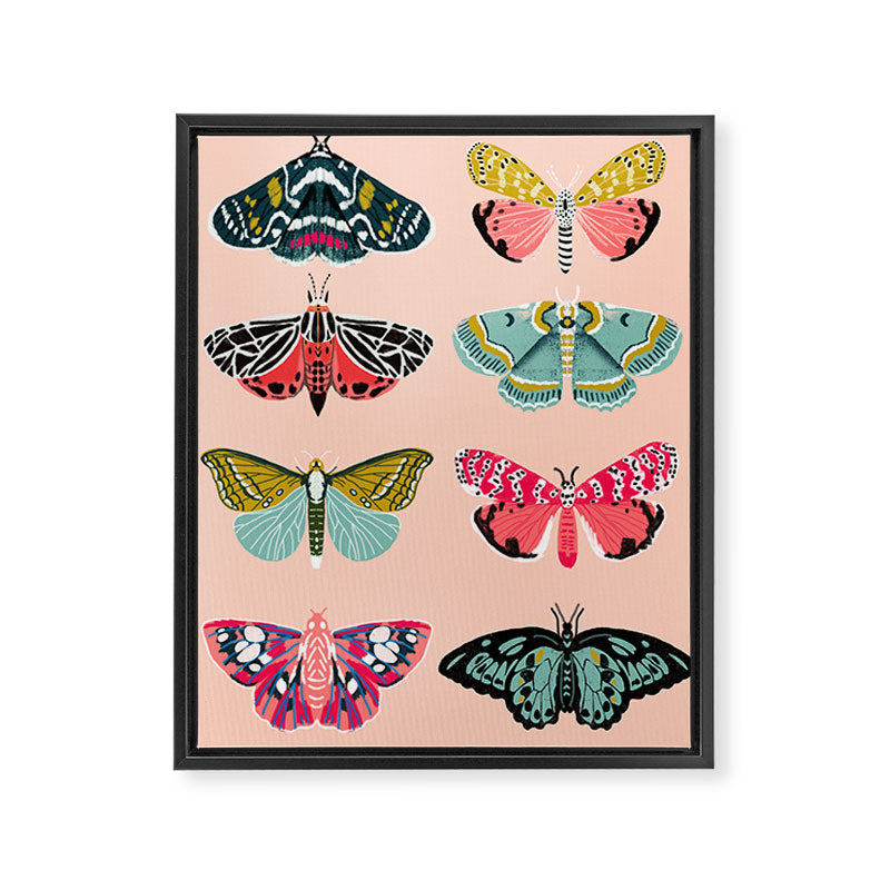 Lepidoptery No. 1 by Andrea Lauren  Framed Canvas Print Gallery Image 6