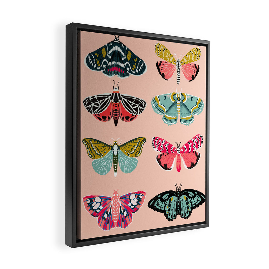 Lepidoptery No. 1 by Andrea Lauren  Framed Canvas Print Gallery Image 2