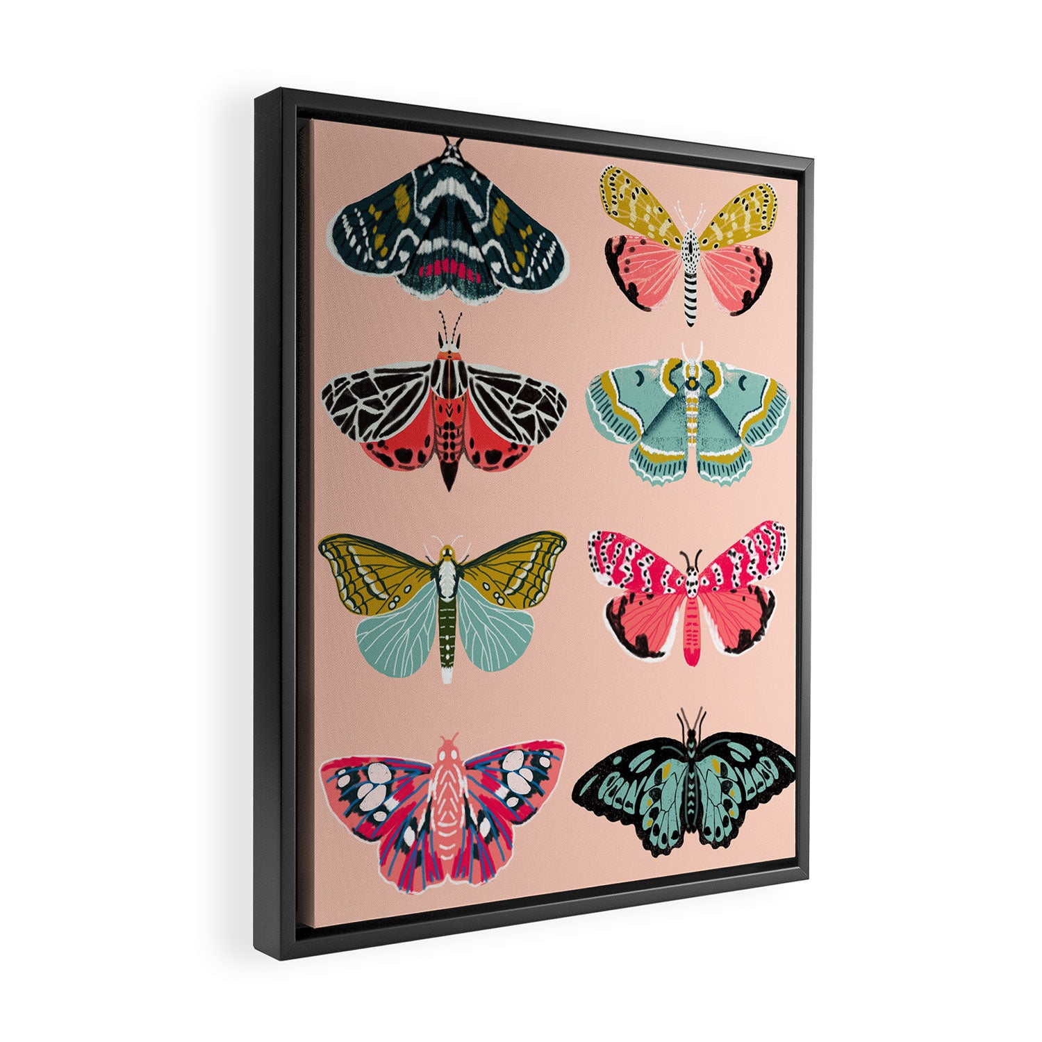 Lepidoptery No. 1 by Andrea Lauren  Framed Canvas Print Gallery Image 2