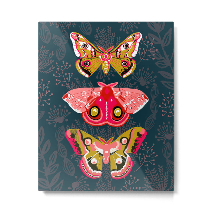 Lepidoptery No. 4 by Andrea Lauren Metal Print Gallery Image 1