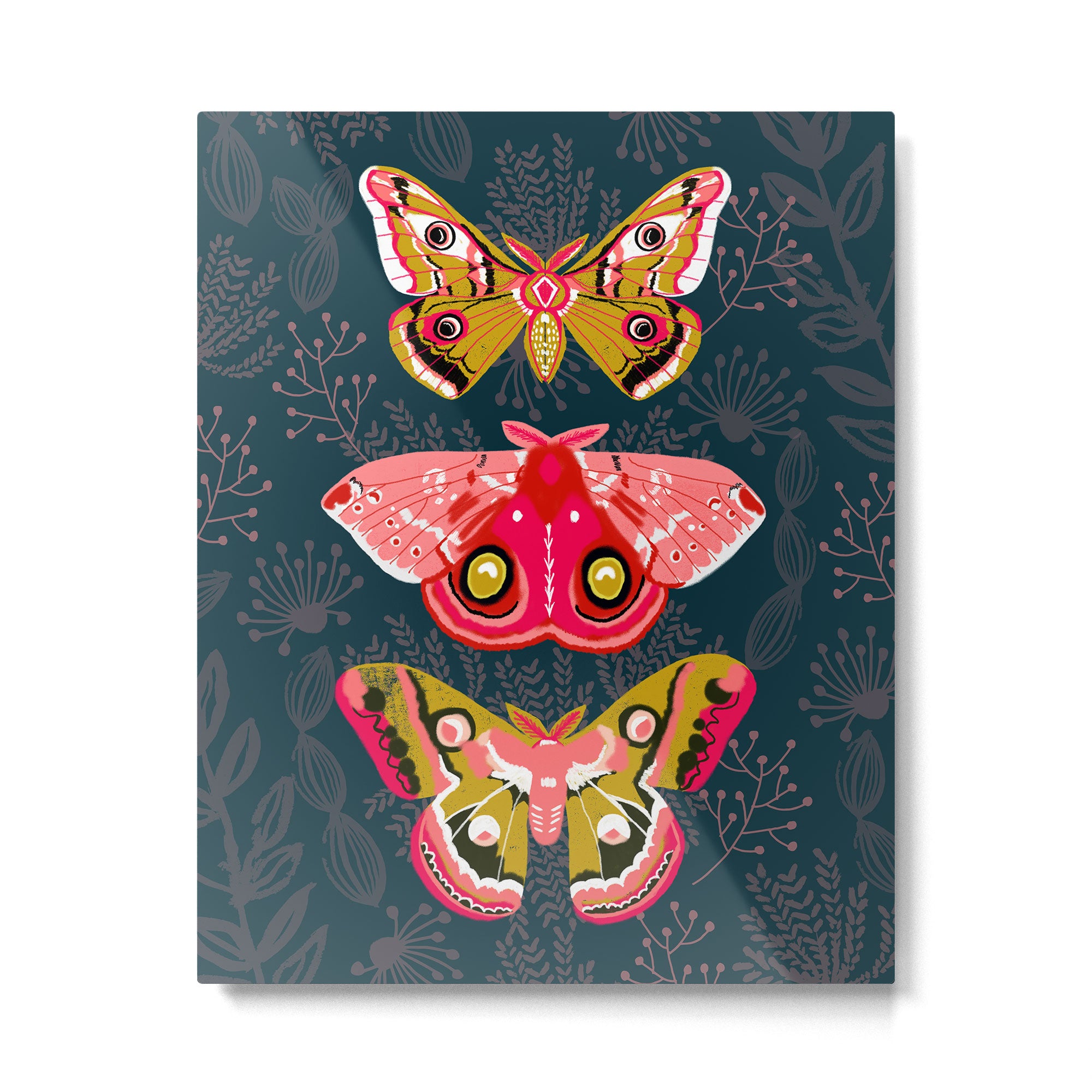 Lepidoptery No. 4 by Andrea Lauren Metal Print Gallery Image 4