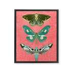 Lepidoptery No. 5 by Andrea Lauren  Framed Canvas Print Gallery Image 6