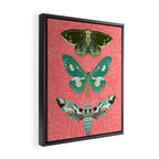 Lepidoptery No. 5 by Andrea Lauren  Framed Canvas Print Gallery Image 2