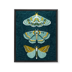 Lepidoptery No. 8 by Andrea Lauren  Framed Canvas Print Gallery Image 6