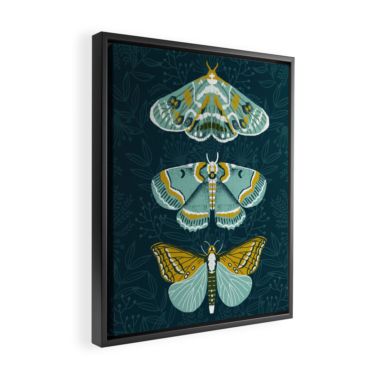 Lepidoptery No. 8 by Andrea Lauren  Framed Canvas Print Gallery Image 2
