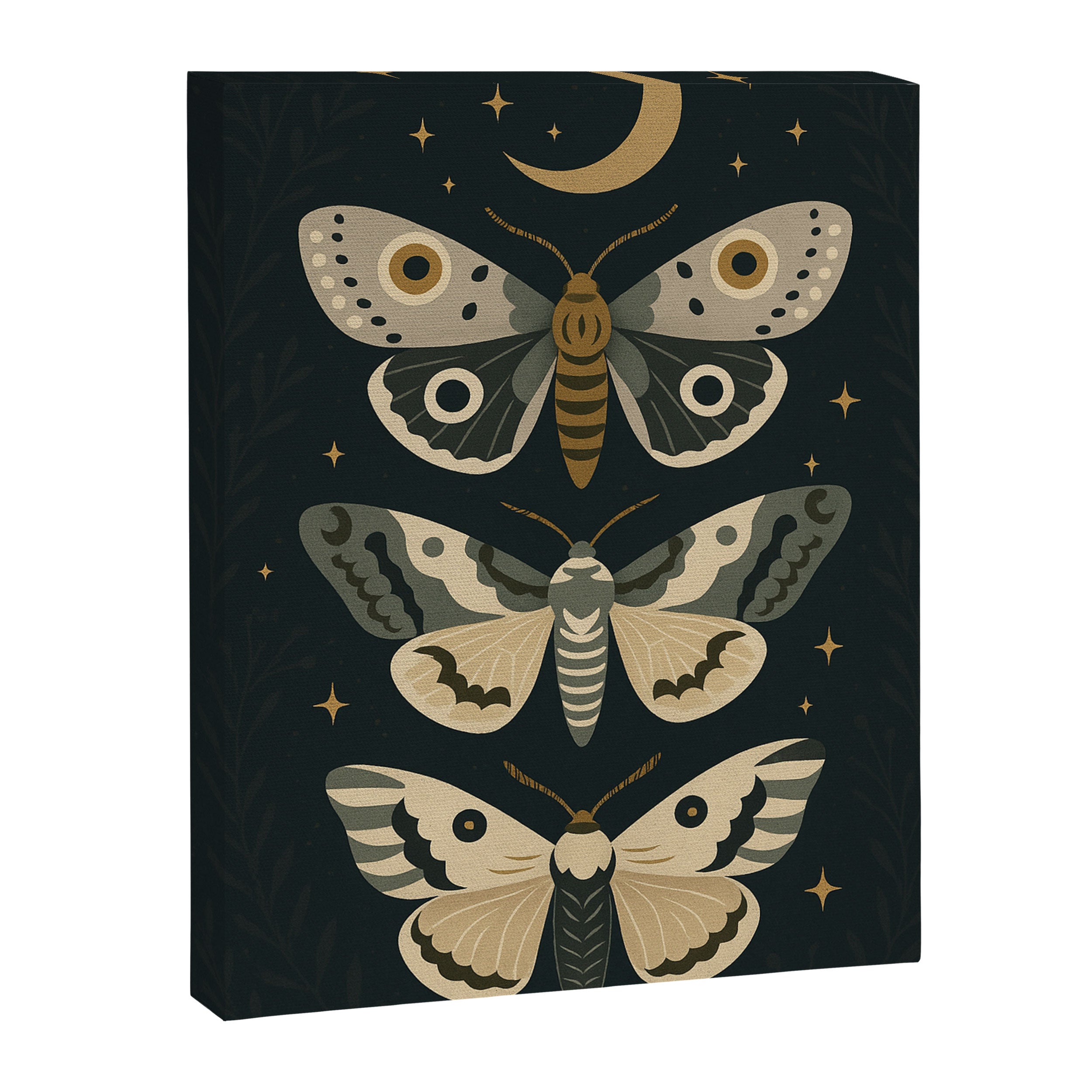 Moonlit Moths - Trio of Celestial Moths with Stars and Crescent Moon on Deep Black Canvas Print Gallery Image 6