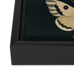 Moonlit Moths - Trio of Celestial Moths with Stars and Crescent Moon on Deep Black Framed Canvas Print Gallery Image 3