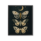 Moonlit Moths - Trio of Celestial Moths with Stars and Crescent Moon on Deep Black Framed Canvas Print Gallery Image 6
