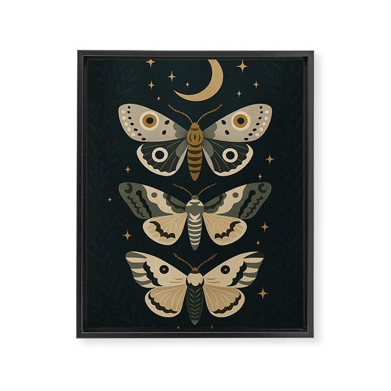 Moonlit Moths - Trio of Celestial Moths with Stars and Crescent Moon on Deep Black Framed Canvas Print Gallery Image 6