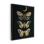 Moonlit Moths - Trio of Celestial Moths with Stars and Crescent Moon on Deep Black Framed Canvas Print Gallery Image 2