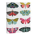 Moths - white background, moth print, moth art, moth sticker, moths, moth art Canvas Print Gallery Image 6