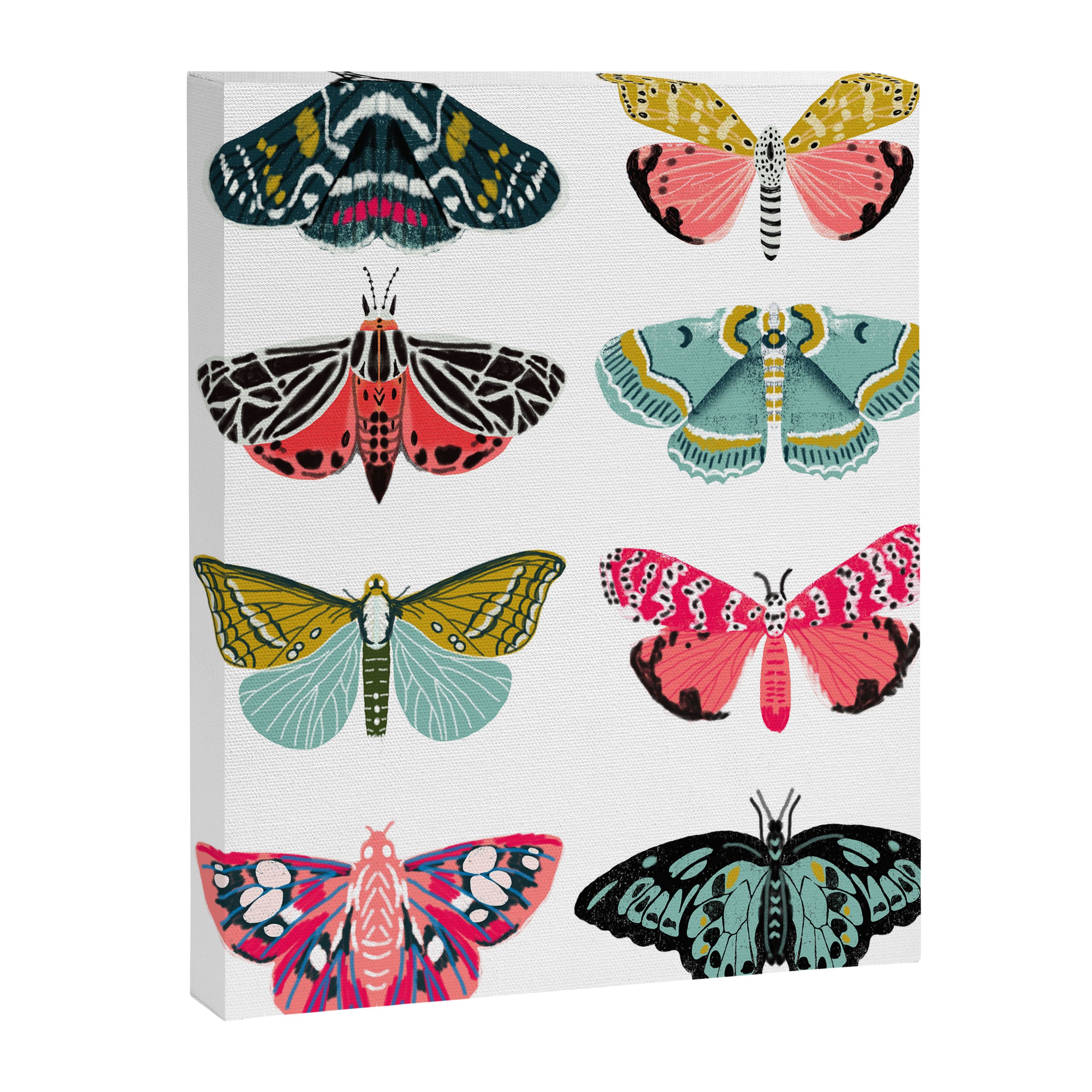Moths - white background, moth print, moth art, moth sticker, moths, moth art Canvas Print Gallery Image 6
