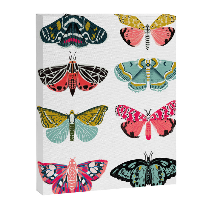 Moths - white background, moth print, moth art, moth sticker, moths, moth art Canvas Print Gallery Image 1