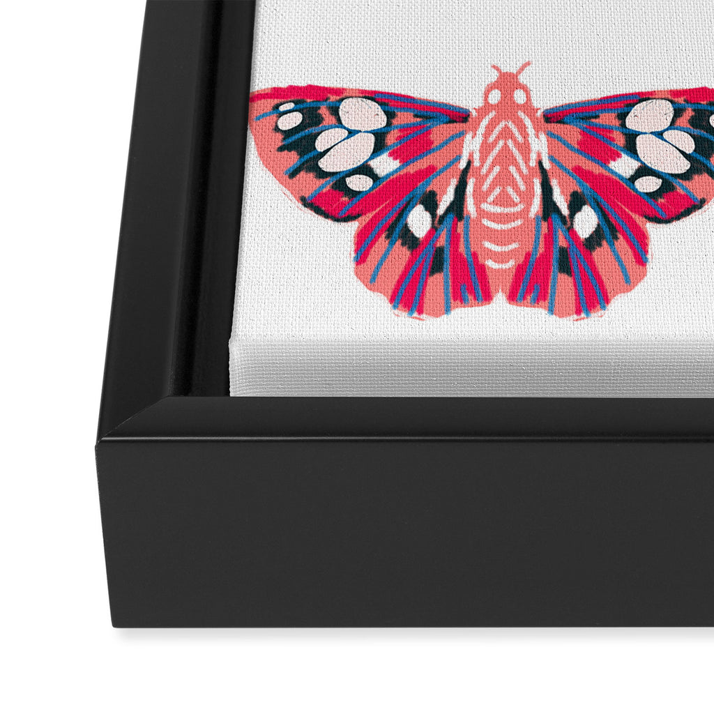 Moths - white background, moth print, moth art, moth sticker, moths, moth art Framed Canvas Print Gallery Image 3