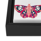 Moths - white background, moth print, moth art, moth sticker, moths, moth art Framed Canvas Print Gallery Image 3
