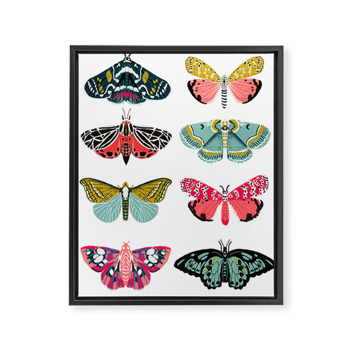 Moths - white background, moth print, moth art, moth sticker, moths, moth art Framed Canvas Print Gallery Image 1
